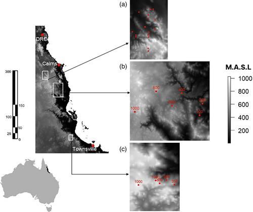 What can an analysis of Australian tropical rainforest bark beetles suggest about the missing millions of Earth's insect species?