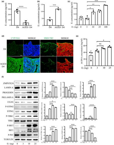 The activation of cGAS-STING pathway causes abnormal uterine receptivity in aged mice