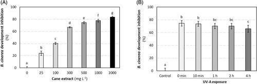 UV-exposure decreases antimicrobial activities of a grapevine cane extract against Plasmopara viticola and Botrytis cinerea as a consequence of stilbene modifications—a kinetic study