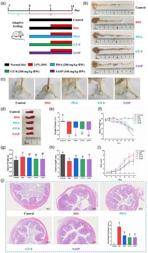 Two protein-derived peptides from Bombyx mori attenuate colitis by enhancing intestinal barrier function and modulating gut microbiota ecology