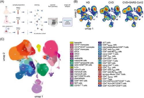 Immune signature of patients with cardiovascular disease predicts increased risk for a severe course of COVID-19