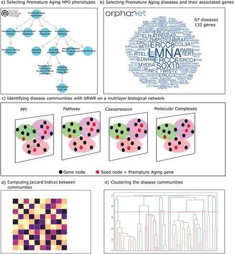 The Molecular Landscape of Premature Aging Diseases Defined by Multilayer Network Exploration