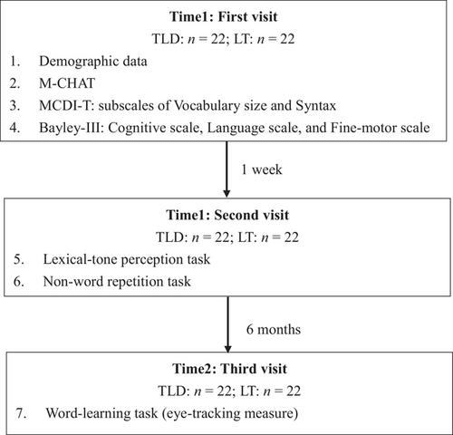 Exploring word-referent mapping in Mandarin-speaking late-talkers at 33 months and its language predictors at 27 months: An eye-tracking study