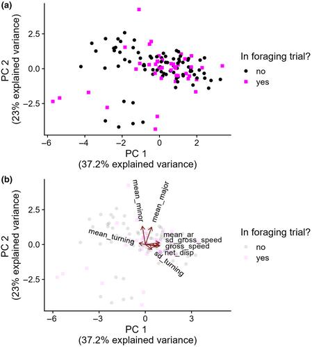 Heritable intraspecific variation among prey in size and movement interact to shape predation risk and potential natural selection