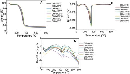 3D Porous Nanocellulose Based Filter from Palm Bunch Using Tert-Butyl Alcohol-Assisted Pore Inducive Technique for Airborne Particulate Matter Retention