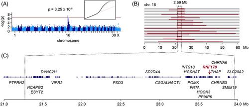 Canine RNF170 Single Base Deletion in a Naturally Occurring Model for Human Neuroaxonal Dystrophy