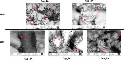 Surface adhered titanium particles on 3D printed off-the-shelf acetabular cups