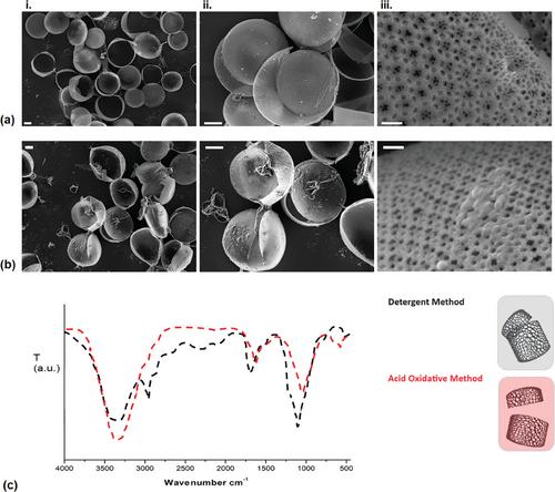 All Bio-Based µ-Beads from Microalgae for Probiotics Delivery