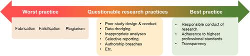 Development of the individual participant data integrity tool for assessing the integrity of randomised trials using individual participant data