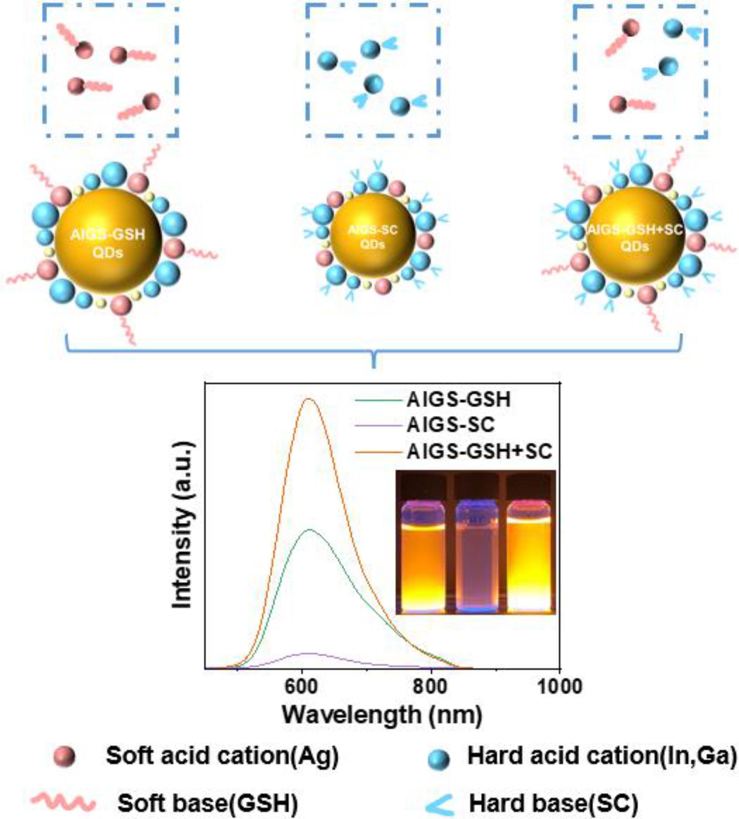 Dual Ligand Strategy for Efficient and Stable Ag–In–Ga–S Aqueous Quantum Dots