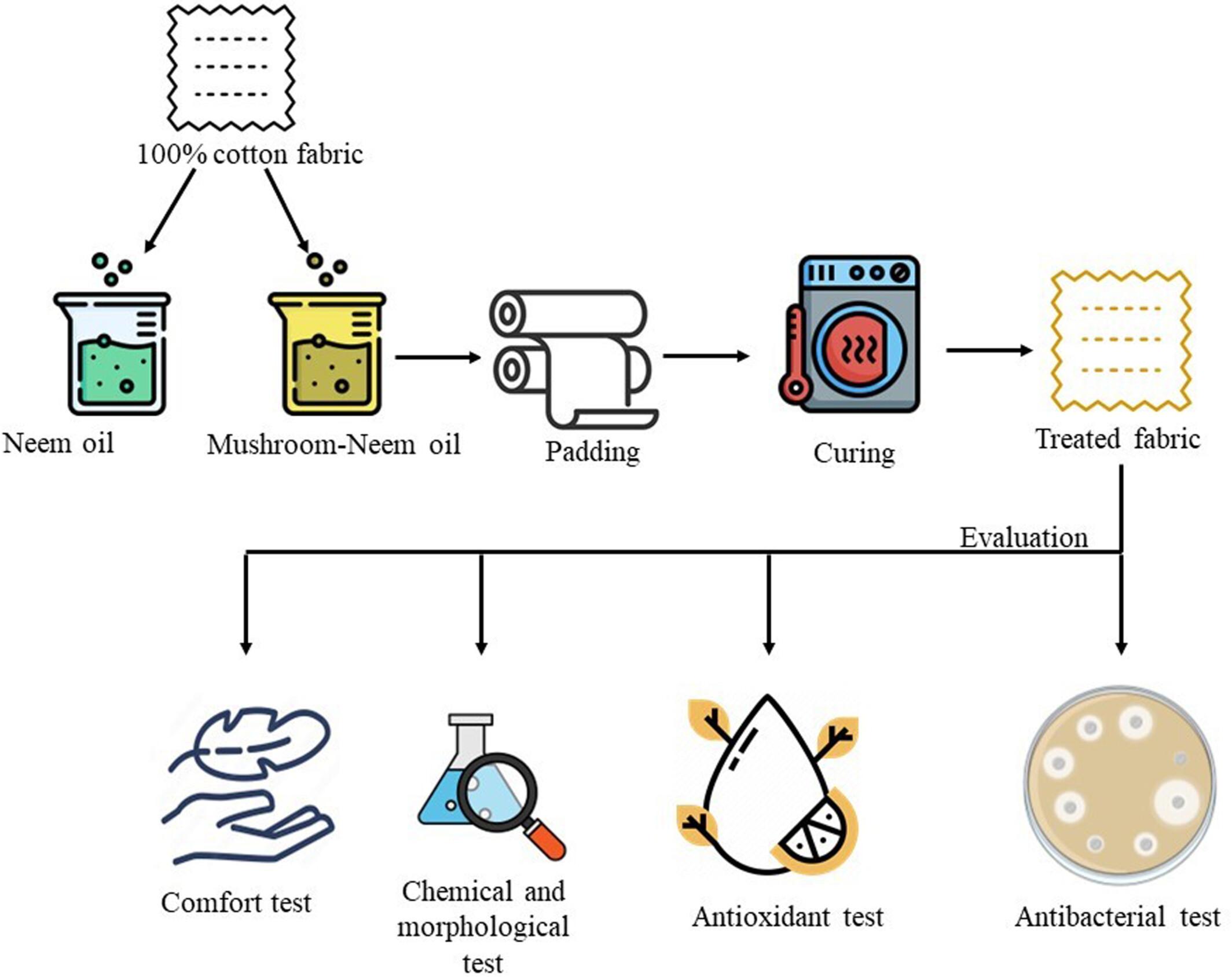 Antimicrobial and antioxidant functionalization of cellulosic fabric via mushroom and neem oil treatment: A step toward sustainable textiles