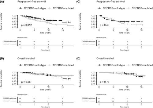 Single gene mutations and prognosis in limited-stage follicular lymphoma treated with radiation therapy