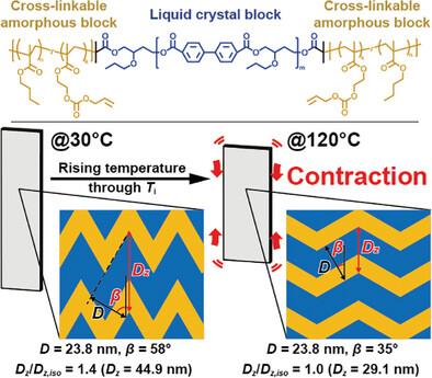 Monodomain Liquid Crystal Elastomers Composed of Main-Chain Type Nematic Polyester Bonded to Rubbery Segments at Both Ends