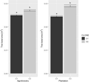 Growth of two loblolly pine clones planted in agroforestry and plantation settings: nine-year results