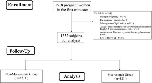 Triglyceride-glycaemic index: Insights into predicting fetal macrosomia and its interaction with gestational diabetes mellitus: A cohort study of Chinese pregnant women