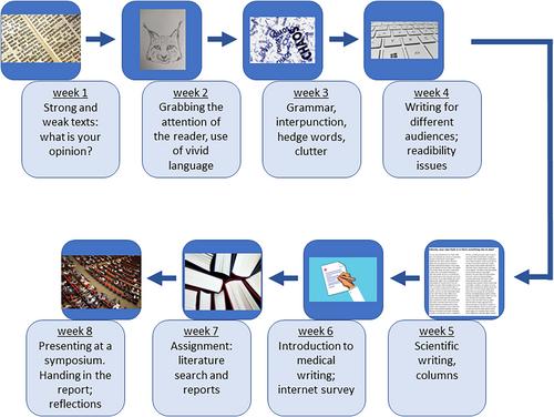 An idea to explore: Student-centered scientific and medical writing project and workshop for undergraduate students