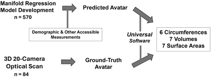 Accurate prediction of three-dimensional humanoid avatars for anthropometric modeling