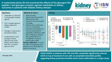 A randomized phase 2b trial examined the effects of the glucagon-like peptide-1 and glucagon receptor agonist cotadutide on kidney outcomes in patients with diabetic kidney disease