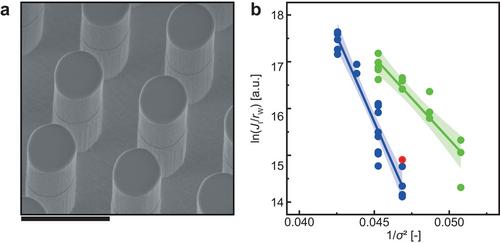 Nanostructured Surfaces Enhance Nucleation Rate of Calcium Carbonate