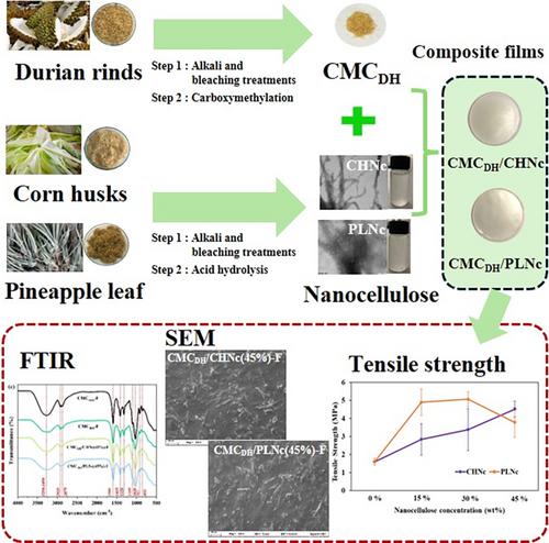 Preparation and Characterization of Durian Husk-Based Biocomposite Films Reinforced With Nanocellulose From Corn Husk and Pineapple Leaf