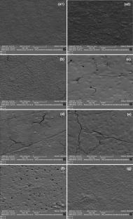 Preparation and characterization of hybrid polymeric coating films of chitosan–clay loaded with açaí extract (Euterpe oleracea) for application in food and pharmaceutical areas