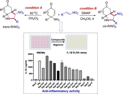 Divergent Synthesis of Multisubstituted Hydroindole Derivatives via [3+2] Annulations of p‐Quinamines with Nitroalkenes