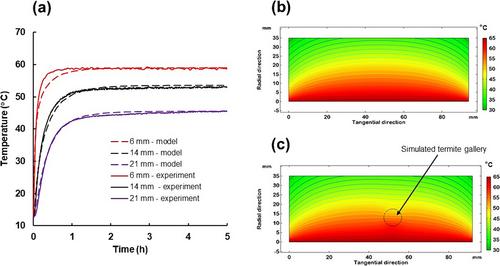 Investigation of heat transfer in timber boards and a simulated wall section to eliminate colonies of the west Indian drywood termite, Cryptotermes brevis (Blattodea: Kalotermitidae)