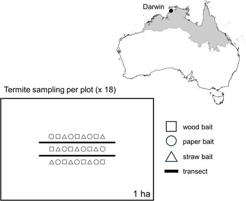 The efficacy and costing of termite (Blattodea: Termitoidae) survey methods in Australian tropical savannas