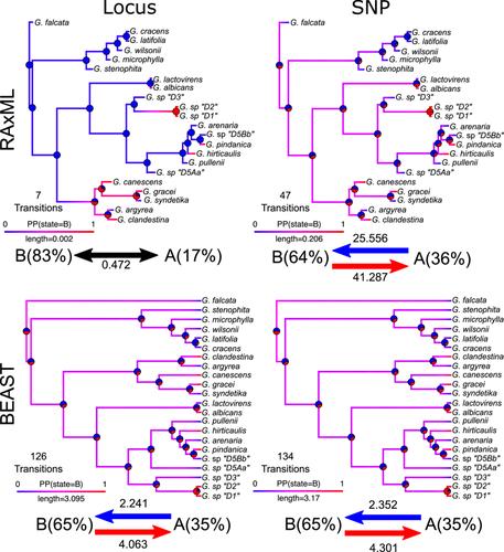 Data-driven guidelines for phylogenomic analyses using SNP data