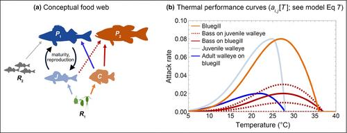 Species control for managing thermal guild interactions in warming food webs