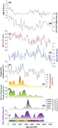 Fire drives major Holocene vegetation shifts between subtropical and Mediterranean-type ecosystems: a case study from a biodiversity hotspot in South Africa