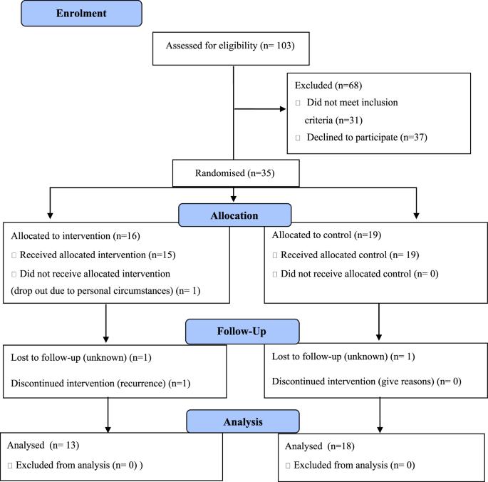 Healthy Eating and Active Lifestyle after Bowel Cancer (HEAL ABC)—feasibility randomised controlled trial