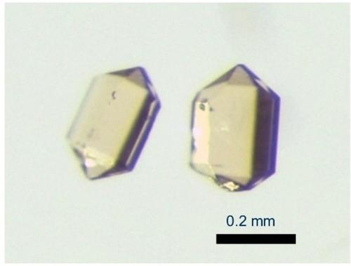 Hydroflux Synthesis and Structural Phase Transition of Rare-Earth Borate Hydroxides Na2[RE(BO3)(OH)2] (RE=Y, Gd−Er)