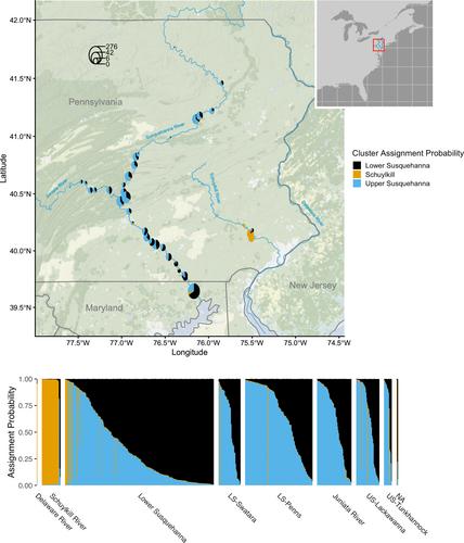 Population genetic structure and demographic history reconstruction of introduced flathead catfish (Pylodictis olivaris) in two US Mid-Atlantic rivers