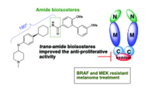 The Investigation of Hsp90C-Terminal Inhibitors Containing Amide Bioisosteres