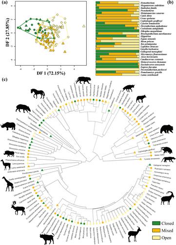 Three-dimensional geometric morphometric analyses of humerus ecomorphology: New perspectives for paleohabitat reconstruction in carnivorans and ungulates