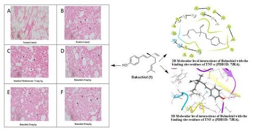 Abstract Image
