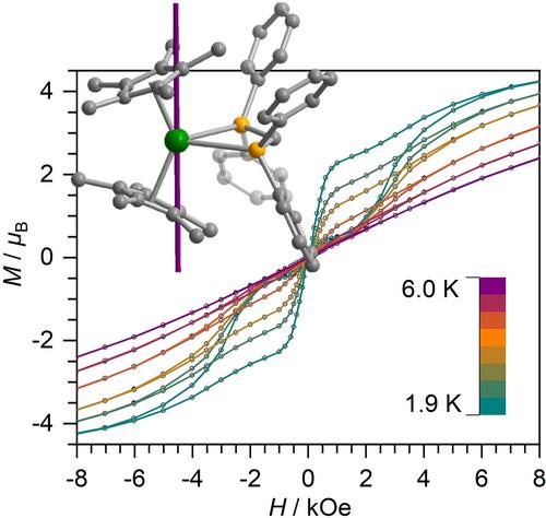 Slow Magnetic Relaxation in a Dysprosium Metallocene Complex Bearing Equatorial DyIII−P Bonds