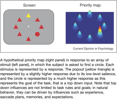 Attention and Attendabilia: The Perception of Attentional Affordances