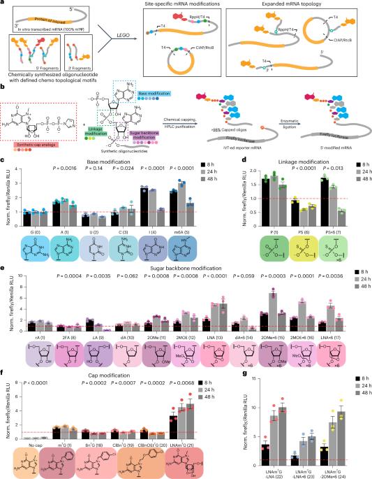 Abstract Image