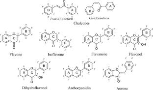 Chalcone and derived natural products: versatile scaffolds for multiple targets in treatment of Type 2 diabetes