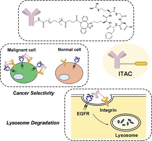 Development of Integrin Targeting Chimeras (ITACs) for the Lysosomal Degradation of Extracellular Proteins