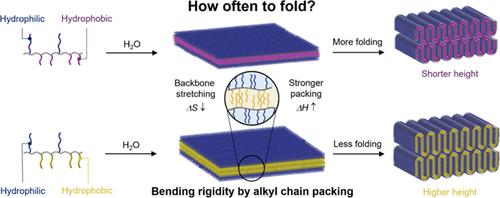 Tuning of Folding Height in Bilayer-Folded Lamellae by Bending Rigidity Control