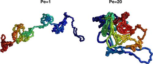 Universal Time and Length Scales of Polar Active Polymer Melts