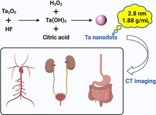 Gram-Scale Synthesis of Renal-Clearable Tantalum Nanodots with High Water Solubility for Computed Tomography Imaging In Vivo