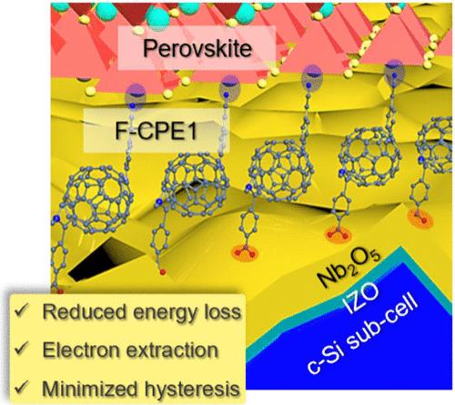 Mitigating Buried-Interface Energy Losses through Multifunctional Ligands in n–i–p Perovskite/Silicon Tandem Solar Cells