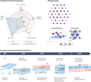 Non-collinear antiferromagnetic spintronics