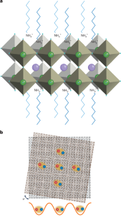 Twisted perovskite layers come together