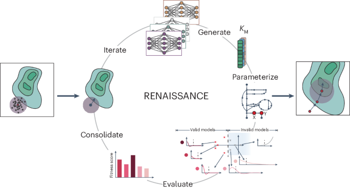 Generative machine learning produces kinetic models that accurately characterize intracellular metabolic states