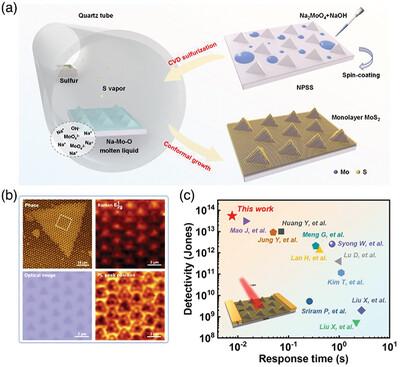 Conformal Growth of Nano-Patterned Monolayer MoS2 with Periodic Strain via Patterned Substrate Engineering for High-performance Photodetectors